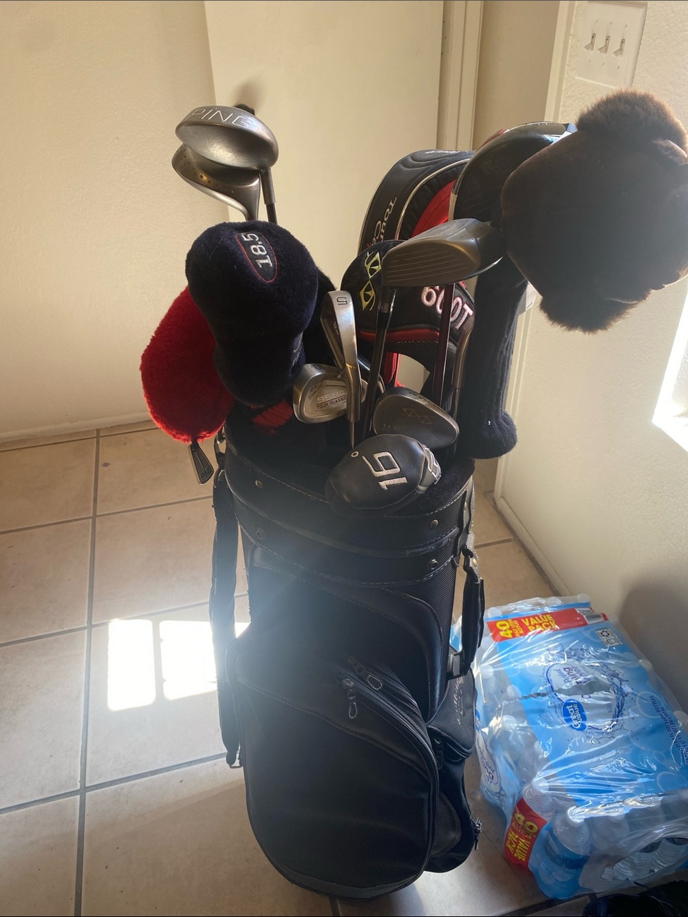 Black Golf Bag with Clubs
